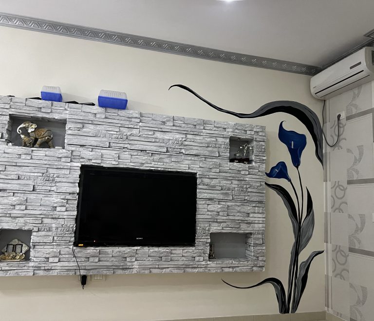 TV